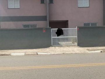 Casa Geminada  Venda